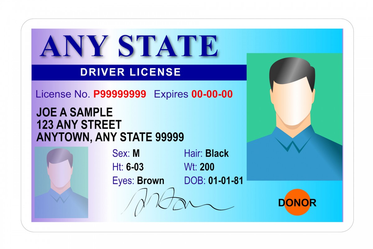 driver-s-license-format-by-state-starpoint-screening